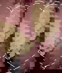 LOHAS(ロハス)　うた