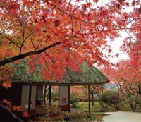 待ちナビ　まお