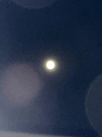 鹿児島ちゃんこ 霧島店　しずか