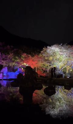 ご主人様いらっしゃい 大分店　神舌ゆい♡最強エロ女（痩せてきた）