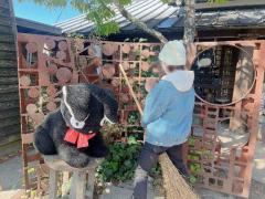 CLUB LUMINE　Haru【ハル】