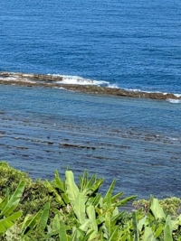 宮崎ちゃんこ都城店　けい