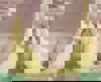 沖縄本舗　みき-MIKI-