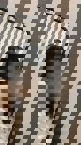 宮崎ちゃんこ中央通店　さや