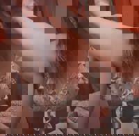 LOHAS(ロハス)　れな