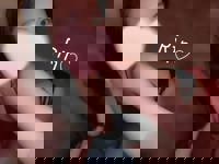 LOHAS(ロハス)　りん