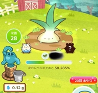 宮崎ちゃんこ都城店　こはる