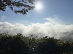 シルエット　新人「あいら」