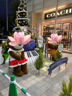 Roots(ルーツ)　かおる