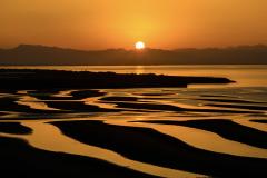 人妻24時　しずく