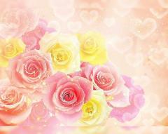 clubATOM　しずく【ミセスコース】