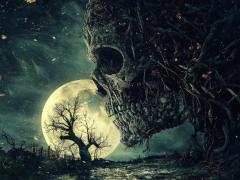 Spica(すぴか)　★かおる★電撃移籍入店決定！