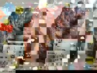 Liberty(リバティ)　あいら♡AIRA