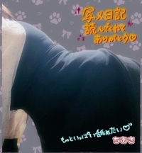 鹿児島ちゃんこ 霧島店　ちあき