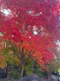 待ちナビ　まな