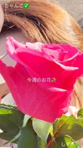 鹿児島ちゃんこ 霧島店　しずか