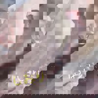 CLUB ULTRA(那覇市) しおり