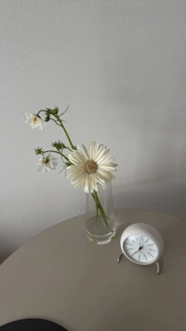 宮崎ちゃんこ都城店　あずさ