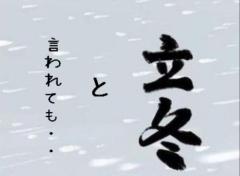 おかあさんといっしょ宮崎店 宮崎市デリヘル さち☆悩殺セクシー美妻 写メ日記「11月５日・７日　　　　　　　　　　　　
　　　　　　　　　　　　　　　　　　　
ありがとう」
