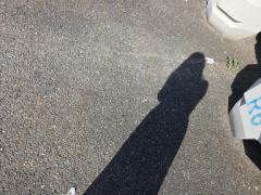 Spica(すぴか)　新★まい★完全業界初！