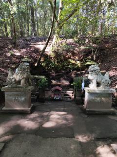 アルファ(大分市) 舞〜（仮）熟女コース※プロフィールご覧ください！