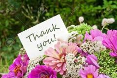 鹿児島ちゃんこ薩摩川内店(薩摩川内市) なな