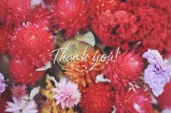 鹿児島ちゃんこ薩摩川内店(薩摩川内市) なな