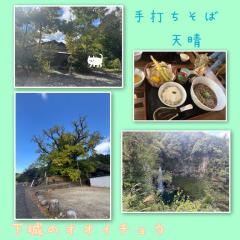 JaPON　環菜ｶﾝﾅ