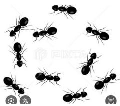 CLUB LUMINE　Haru【ハル】