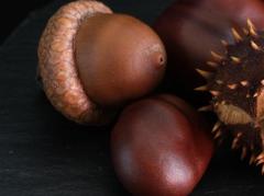 Spica(すぴか)　★かおる★電撃移籍入店決定！