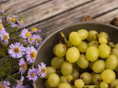 Spica(すぴか)(延岡市) ★かおる★電撃移籍入店決定！