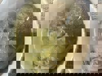 大人の遊園痴「スピーディー」　りつ（敏感で癒し系）