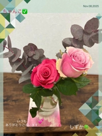 鹿児島ちゃんこ 霧島店　しずか