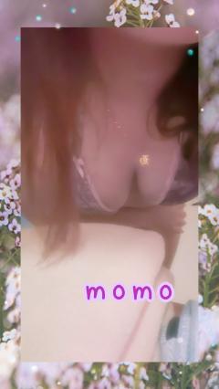 harmonyハーモニー　もも(momo)