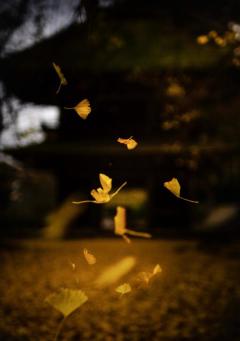 シングルママ　めい☆清楚綺麗妻