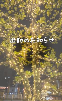 Madam  Cherish　ほずみ