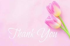 鹿児島ちゃんこ薩摩川内店　なな