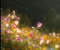 フェアリー【鹿児島店】　りりこ【綺麗すぎる未経験美女】