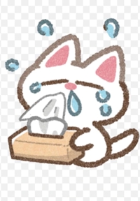 宮崎ちゃんこ都城店 都城市デリヘル あきほ 写メ日記「こんにちは」