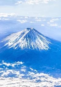 待ちナビ　しょう