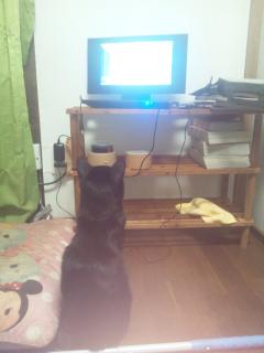 保険屋のおばちゃん　まり