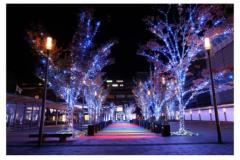 JaPON　環菜ｶﾝﾅ