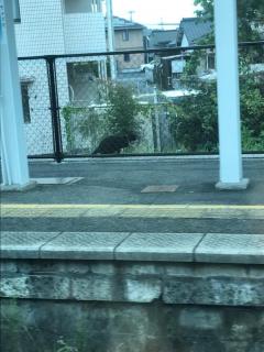 ラブ♡エル霧島店　♡ハヅキ♡