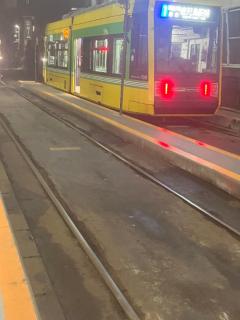 鹿児島ちゃんこ薩摩川内店　もあ