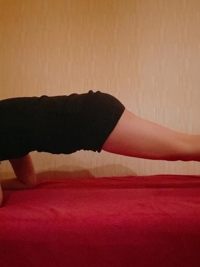 okinawa -銀ノ翼-(那覇市) ほたる