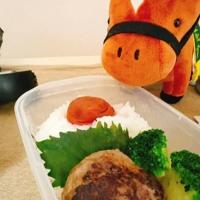 鹿児島ちゃんこ 霧島店　うい