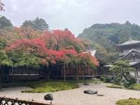 待ちナビ　しょう