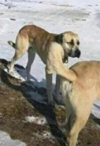 マドンナSANSAIN　りく