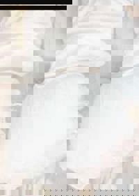 宮崎ちゃんこ中央通店(宮崎市) ゆあ