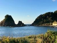 待ちナビ　しょう